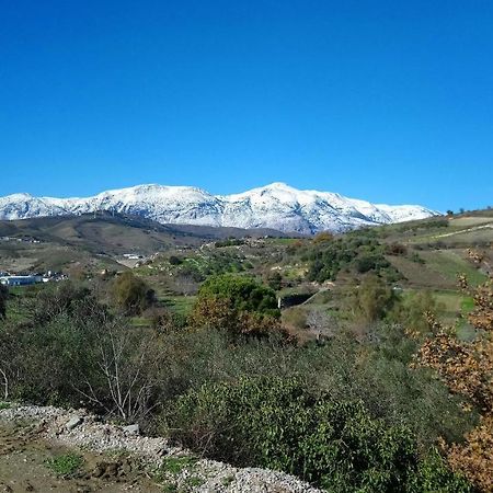 Villa Axenti Agios Thomas  Eksteriør bilde