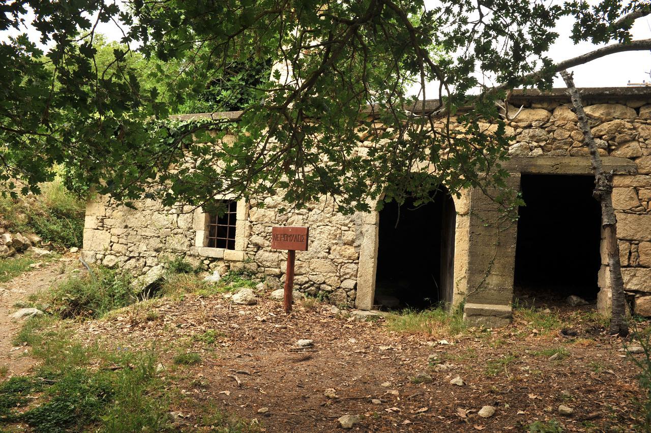 Villa Axenti Agios Thomas  Eksteriør bilde