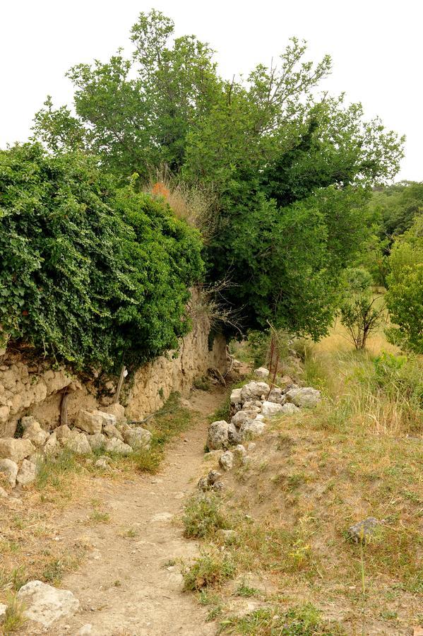 Villa Axenti Agios Thomas  Eksteriør bilde