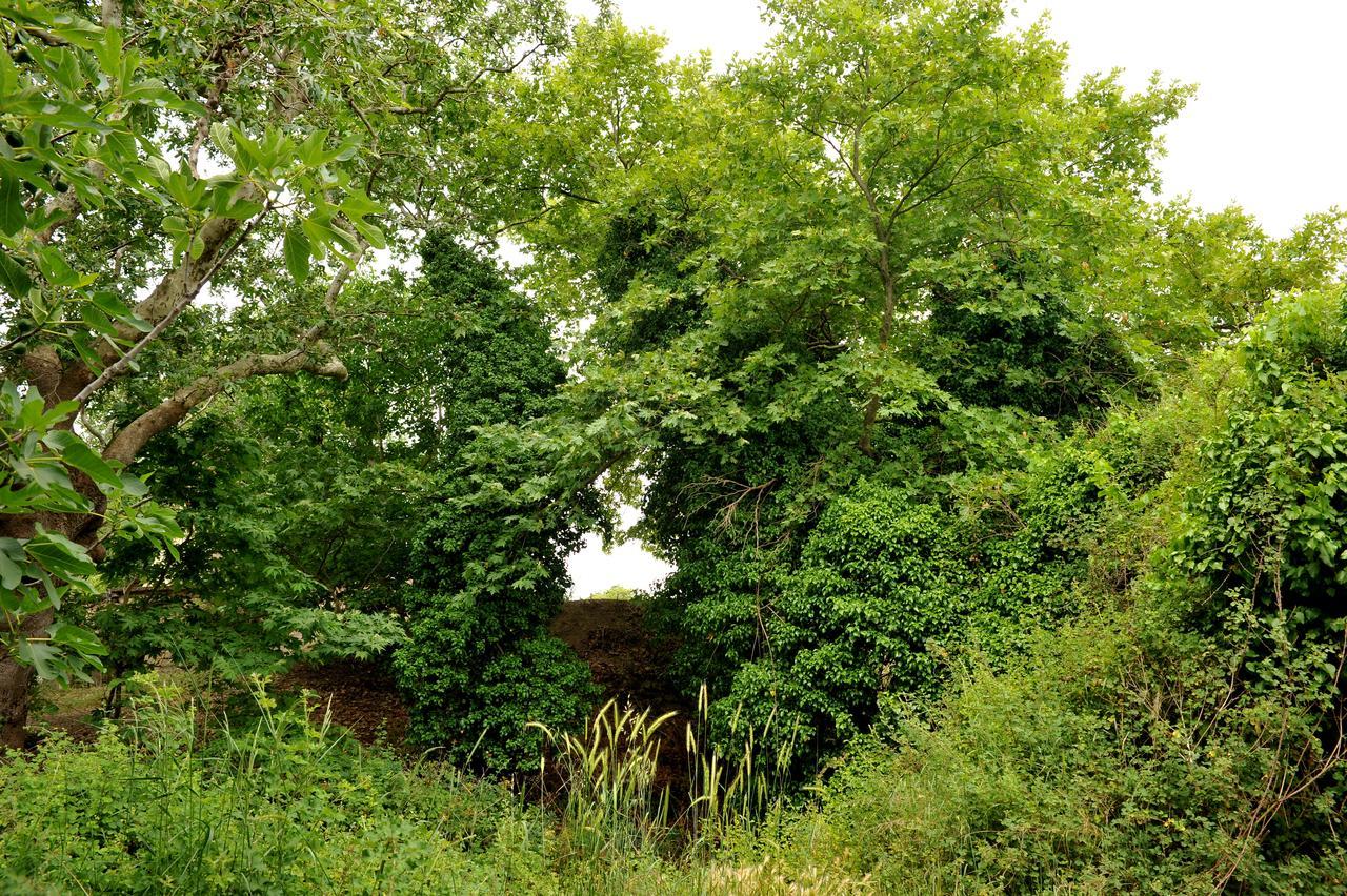 Villa Axenti Agios Thomas  Eksteriør bilde